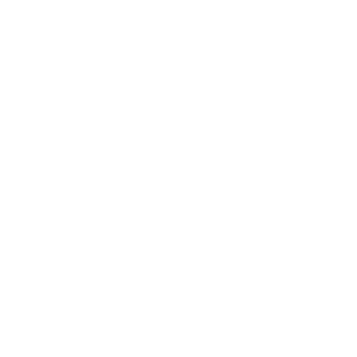 mission Icon
